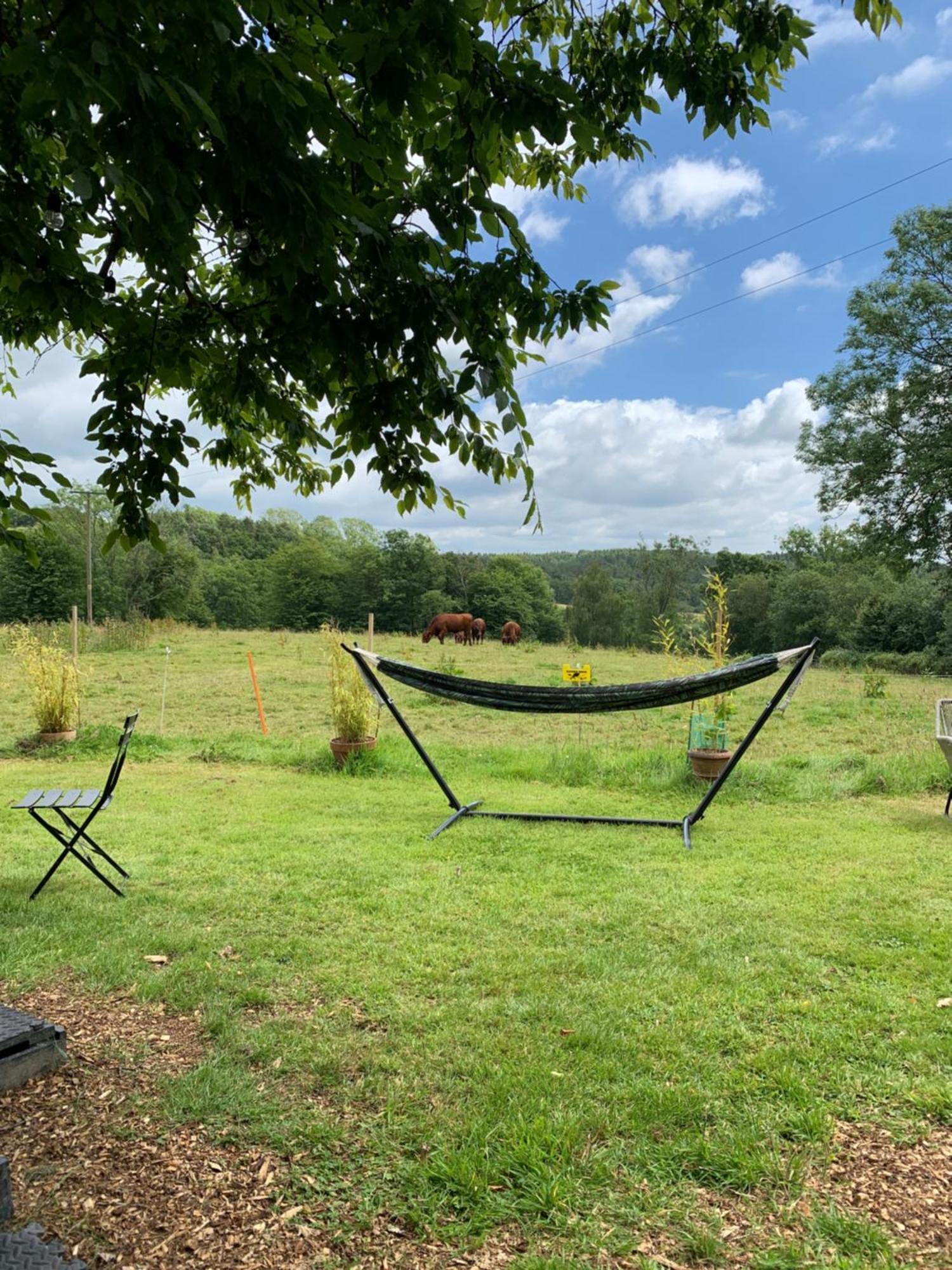 American School Bus Retreat With Hot Tub In Sussex Meadow Uckfield Zewnętrze zdjęcie