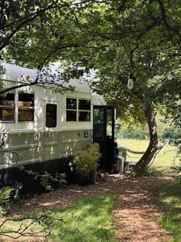 American School Bus Retreat With Hot Tub In Sussex Meadow Uckfield Zewnętrze zdjęcie